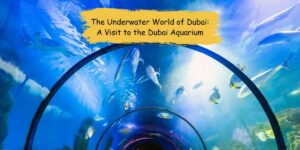 The Underwater World of Dubai: A Visit to the Dubai Aquarium